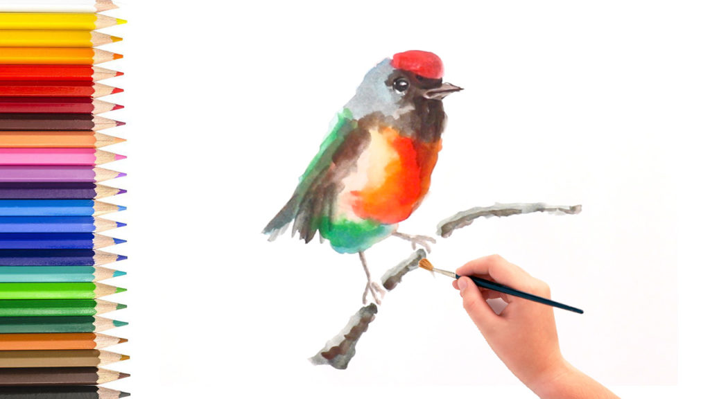 artist junior tv - how to paint bird using watercolor