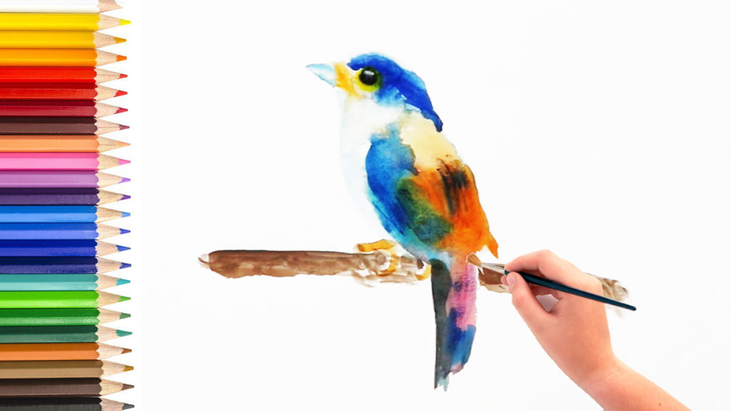 watercolor for beginner
