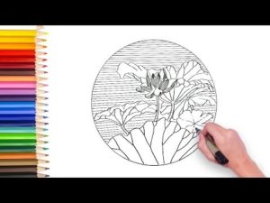 lotus flower drawing video