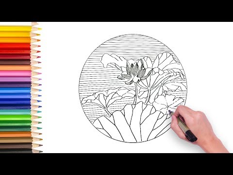 lotus flower drawing video